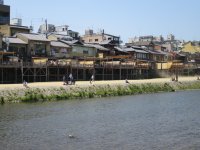 IMG_0784.JPG